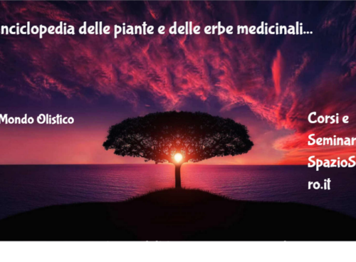 Enciclopedia Delle Piante E Delle Erbe Medicinali