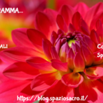 Enneagramma 3 Enneagramma