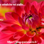 Erbe belle e selvatiche nel piatto 3 Erbe Belle E Selvatiche Nel Piatto