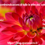 ERBE : Le controindicazioni di tutte le erbe piu' conosciute 2 Erbe : Le Controindicazioni Di Tutte Le Erbe Piu' Conosciute
