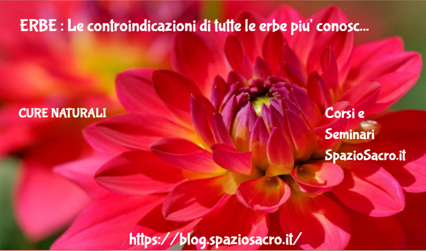 Erbe : Le Controindicazioni Di Tutte Le Erbe Piu' Conosciute