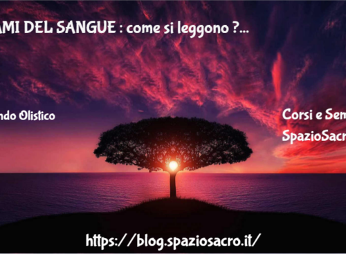 Esami Del Sangue : Come Si Leggono ?