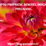 Eucalipto: Proprieta', Benefici, Indicazioni E Precauzioni