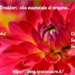 febbre e raffreddori : olio essenziale di origano 2 Febbre E Raffreddori : Olio Essenziale Di Origano