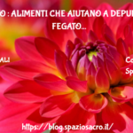 Fegato : alimenti che aiutano a depurare il fegato 3 Fegato : Alimenti Che Aiutano A Depurare Il Fegato