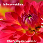 Fertilita' : La Dieta Consigliata