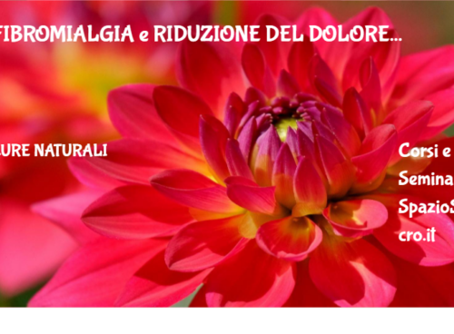 Fibromialgia E Riduzione Del Dolore
