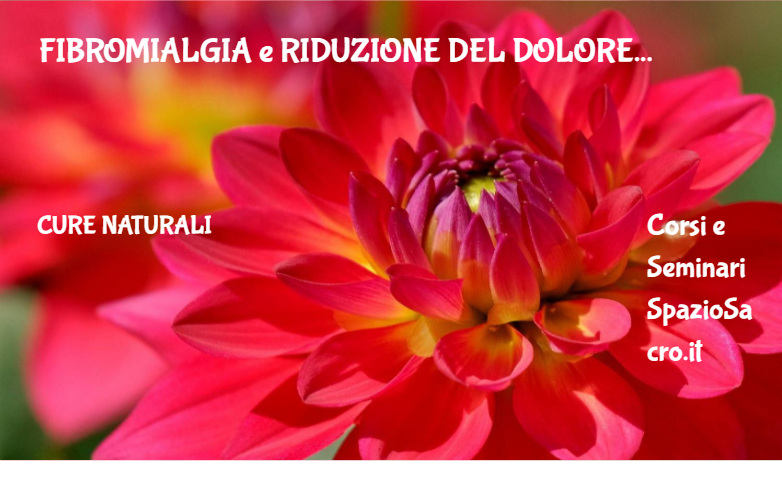 Fibromialgia E Riduzione Del Dolore