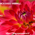 Fiori di bach sugli animali 3 Fiori Di Bach Sugli Animali