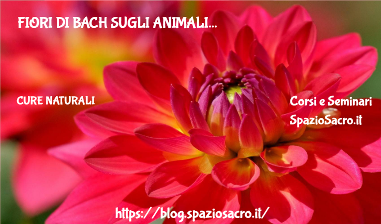 Fiori Di Bach Sugli Animali