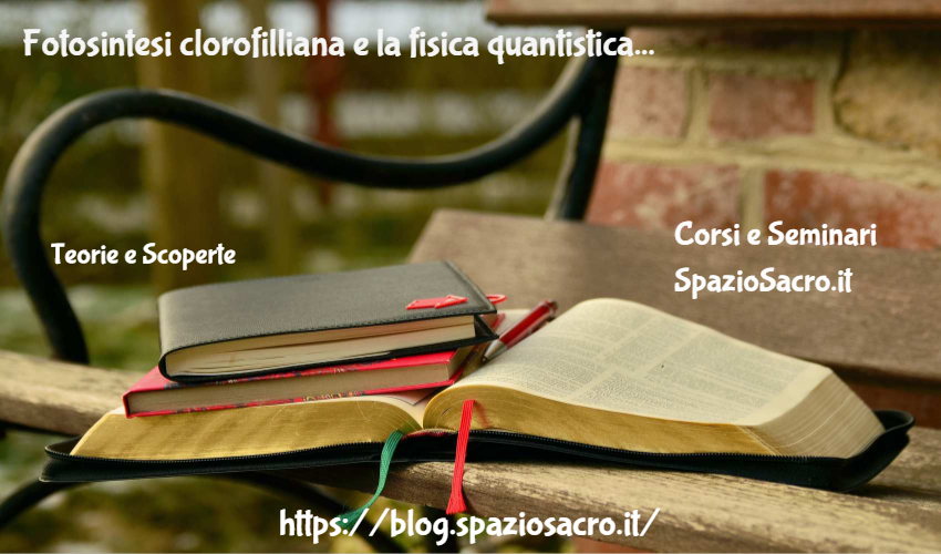 Fotosintesi Clorofilliana E La Fisica Quantistica