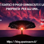 Frutti Esotici O Poco Conosciuti E Le Loro Proprieta' Per Gli Umani