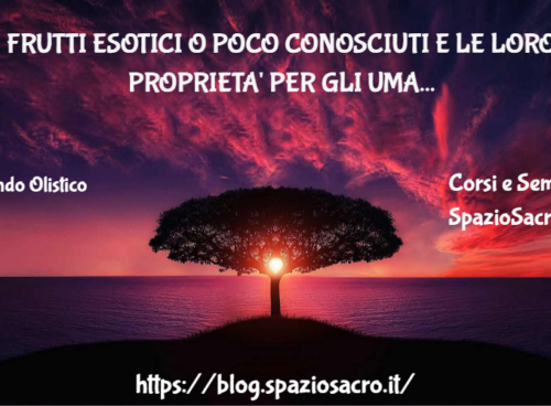 Frutti esotici o poco conosciuti e le loro proprieta' per gli umani 24 Frutti Esotici O Poco Conosciuti E Le Loro Proprieta' Per Gli Umani