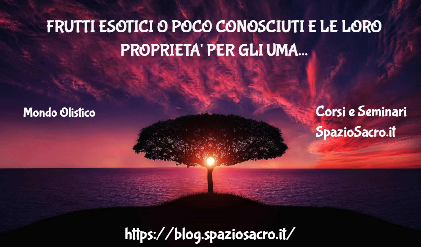 Frutti Esotici O Poco Conosciuti E Le Loro Proprieta' Per Gli Umani