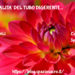 Funzionalita' del tubo digerente 3 Funzionalita' Del Tubo Digerente