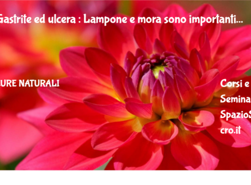 Gastrite Ed Ulcera : Lampone E Mora Sono Importanti