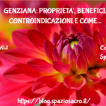 Genziana: proprieta', benefici, controindicazioni e come fare il liquore 3 Genziana: Proprieta', Benefici, Controindicazioni E Come Fare Il Liquore