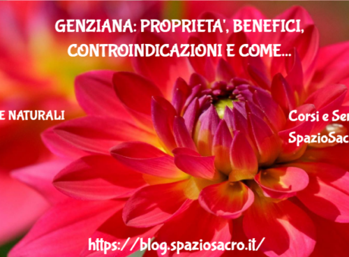 Genziana: proprieta', benefici, controindicazioni e come fare il liquore 13 Genziana: Proprieta', Benefici, Controindicazioni E Come Fare Il Liquore