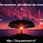 Gli Alberi Che Camminano, Ulivi Millenari Che Conservano Storie E Attraversano Il Tempo