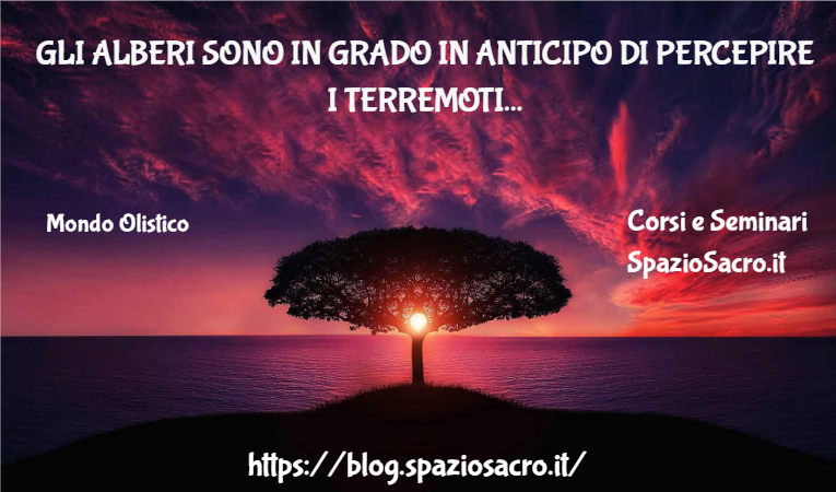 Gli Alberi Sono In Grado In Anticipo Di Percepire I Terremoti