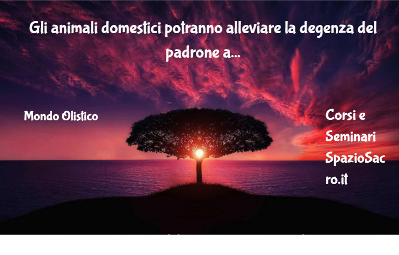 Gli animali domestici potranno alleviare la degenza del padrone all'ospedale 1 Gli Animali Domestici Potranno Alleviare La Degenza Del Padrone All'ospedale