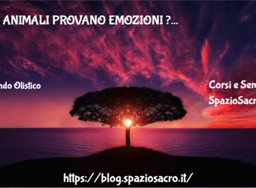 Gli animali provano emozioni ? 47 Gli Animali Provano Emozioni ?