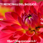 Gli effetti medicinali del basilico 2 Gli Effetti Medicinali Del Basilico