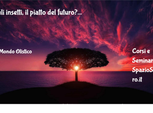 Gli Insetti, Il Piatto Del Futuro?