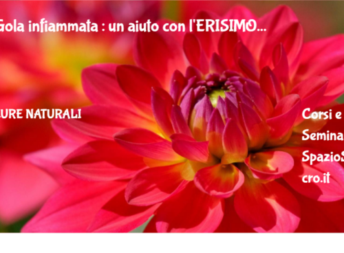 Gola infiammata : un aiuto con l'ERISIMO 60 Gola Infiammata : Un Aiuto Con L'erisimo