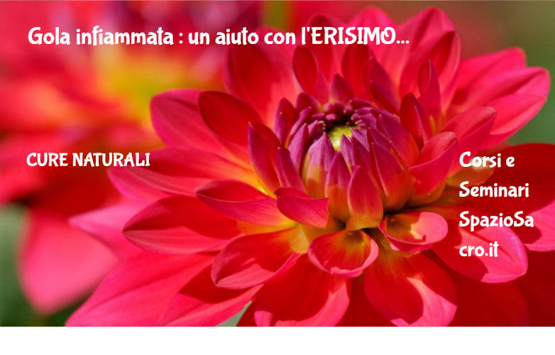 Gola Infiammata : Un Aiuto Con L'erisimo