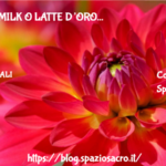 Golden milk o latte d'oro 2 Golden Milk O Latte D’oro