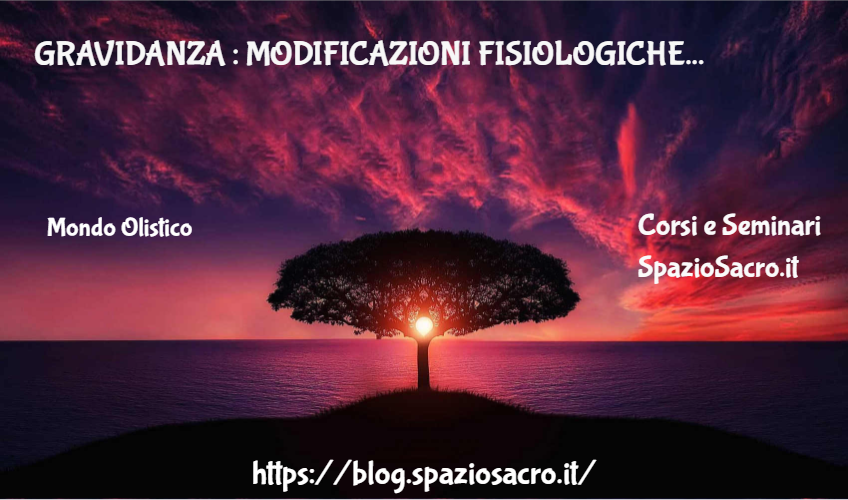 Gravidanza : Modificazioni Fisiologiche