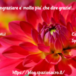 Grazie Ringraziare E' Molto Piu' Che Dire Grazie!