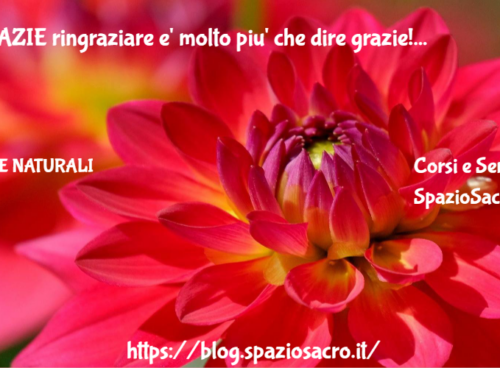 GRAZIE ringraziare e' molto piu' che dire grazie! 45 Grazie Ringraziare E' Molto Piu' Che Dire Grazie!