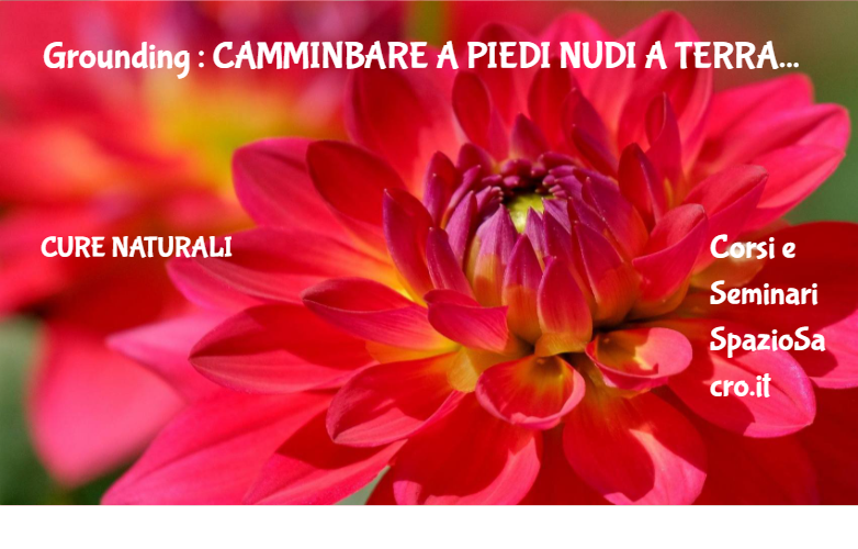Grounding : Camminbare A Piedi Nudi A Terra