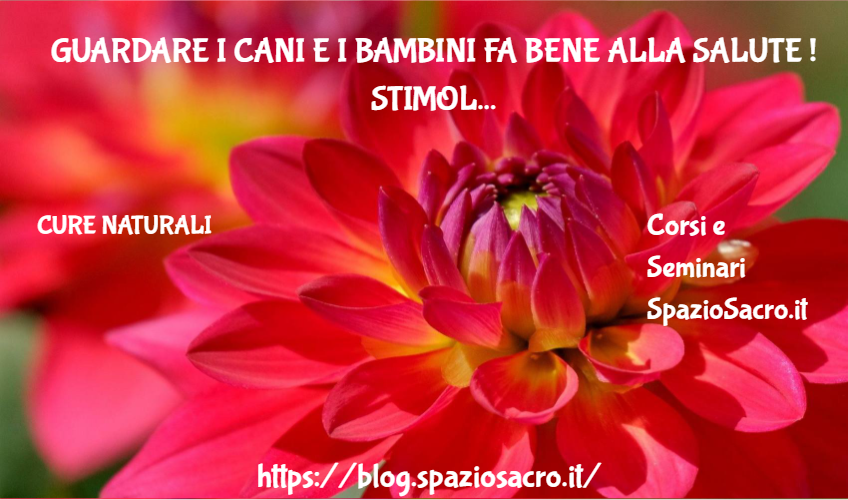 Guardare I Cani E I Bambini Fa Bene Alla Salute ! Stimola L'ossitocina