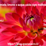 Ho Bevuto Miele, Limone E Acqua Calda Ogni Mattina Per Un Anno. Ecco Cosa E' Successo