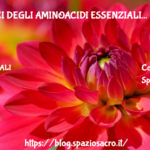I benefici degli aminoacidi essenziali 3 I Benefici Degli Aminoacidi Essenziali