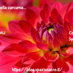 I benefici della curcuma 2 I Benefici Della Curcuma