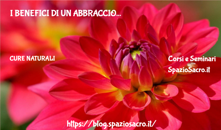 I benefici di un abbraccio 1 I Benefici Di Un Abbraccio