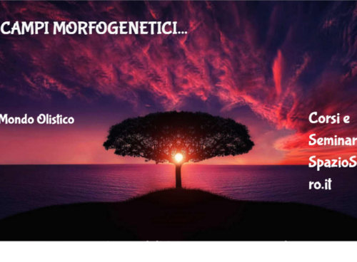 I Campi Morfogenetici