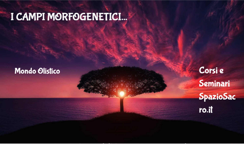 I campi morfogenetici 1 I Campi Morfogenetici