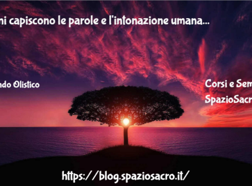 I cani capiscono le parole e l'intonazione umana 21 I Cani Capiscono Le Parole E L'intonazione Umana