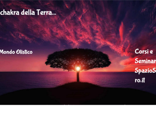 I Chakra Della Terra