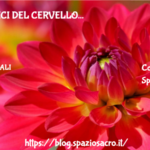 I cibi amici del cervello 3 I Cibi Amici Del Cervello