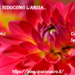 I Cibi Che Riducono L'ansia