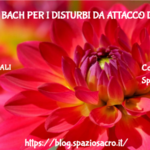 I fiori di bach per i disturbi da attacco di panico 2 I Fiori Di Bach Per I Disturbi Da Attacco Di Panico