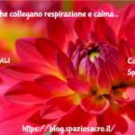 I Neuroni Che Collegano Respirazione E Calma