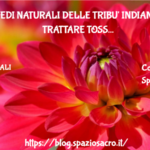 I rimedi naturali delle tribu' indiane per trattare tosse, raffreddore e mal di gola nei bambini 2 I Rimedi Naturali Delle Tribu' Indiane Per Trattare Tosse, Raffreddore E Mal Di Gola Nei Bambini