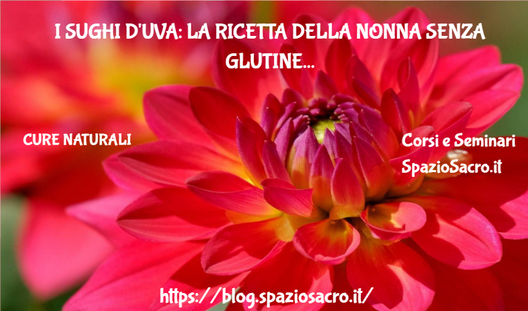 I sughi d'uva: la ricetta della nonna senza glutine 1 I Sughi D'uva: La Ricetta Della Nonna Senza Glutine